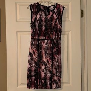 Pink and Black Snake-print Jennifer Lopez Dress